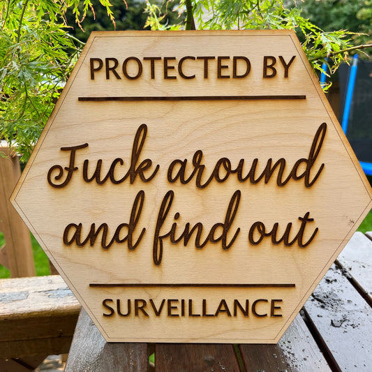 **ck Around and Find out Surveillance